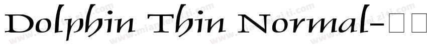 Dolphin Thin Normal字体转换